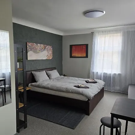 Apartment Old Over The River, Free Parking, Up To 4ppl. Self Check-in\out